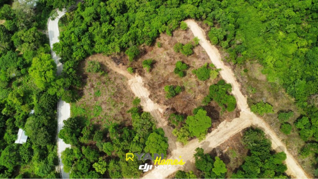 063C32E1-0DC8-4B71-8456-1AE36A7FCA7C