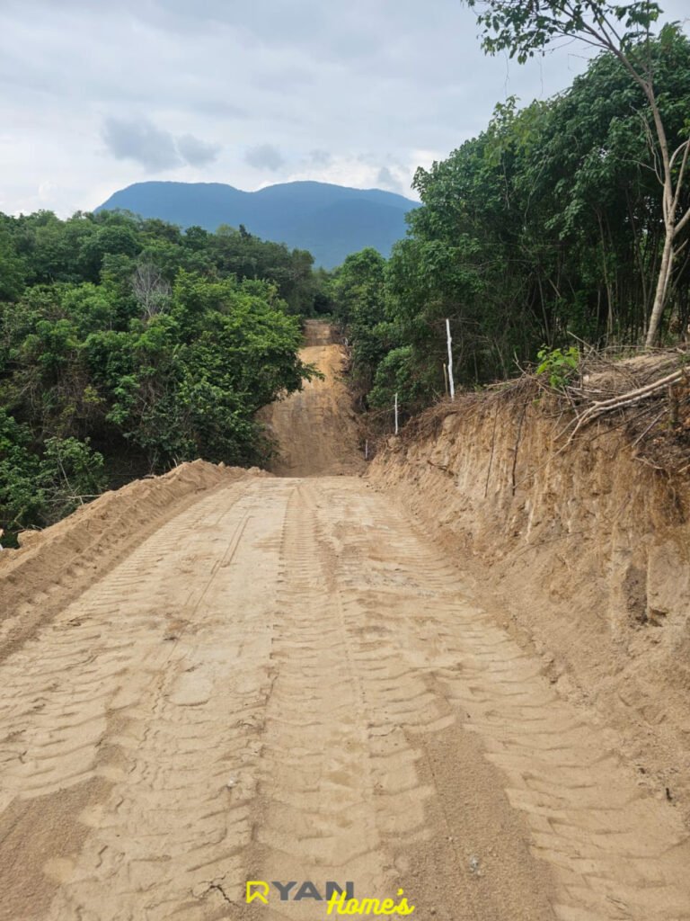 0D1DB0BD-B619-489B-812A-EADBE721BB79