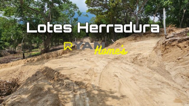 192E902C-D8C3-4BC2-BDE4-A04EB98E674F