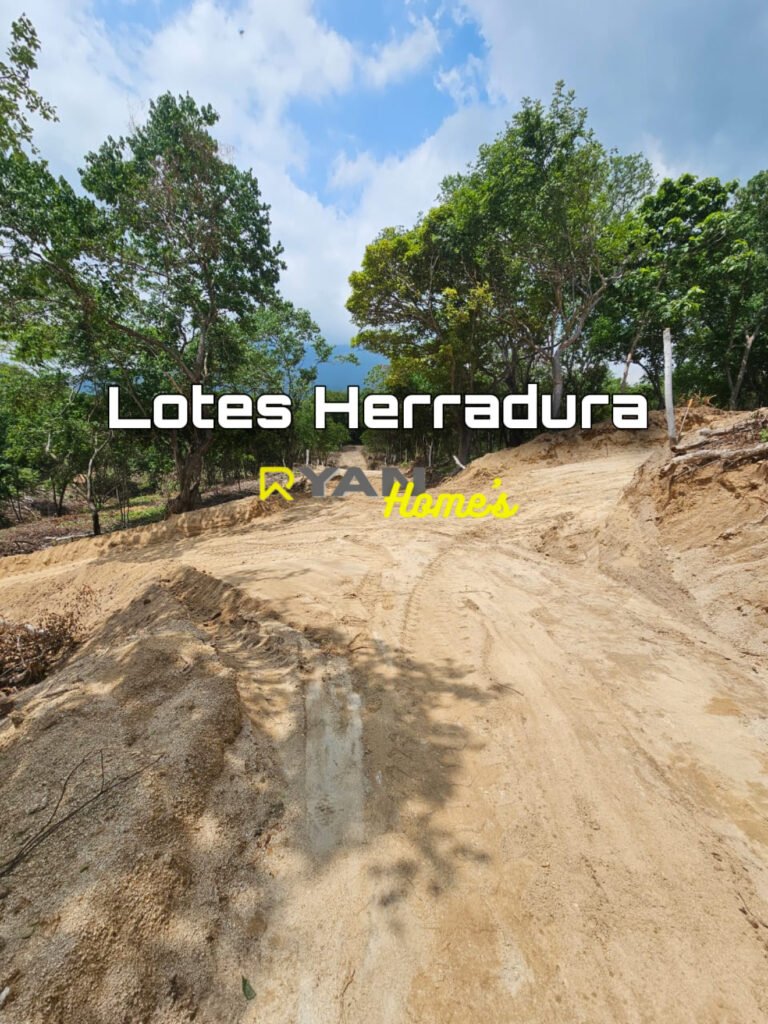 192E902C-D8C3-4BC2-BDE4-A04EB98E674F