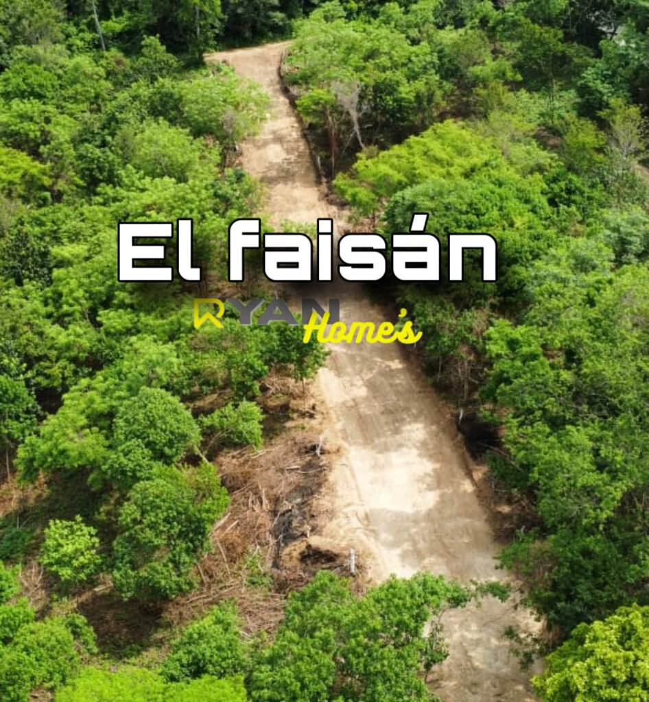 D7B1EE11-644D-4BF1-B36E-4A00A50DE384