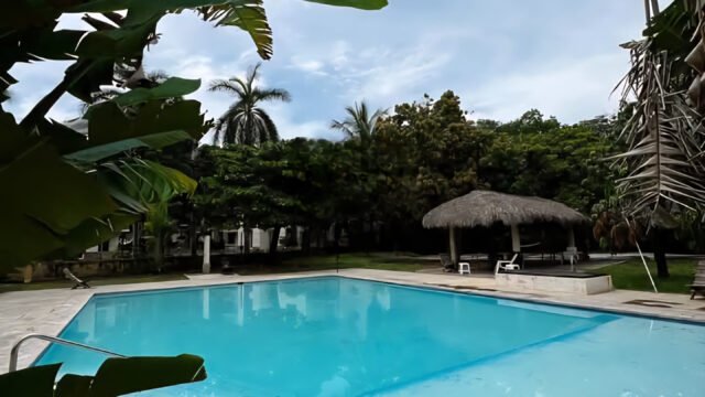 FDFF1897-CDE5-404C-8578-A41B0EE1AA3A-1