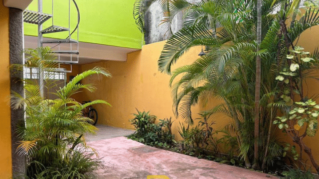 c55726fa-0c2d-48ea-b660-ee98ffb380d9