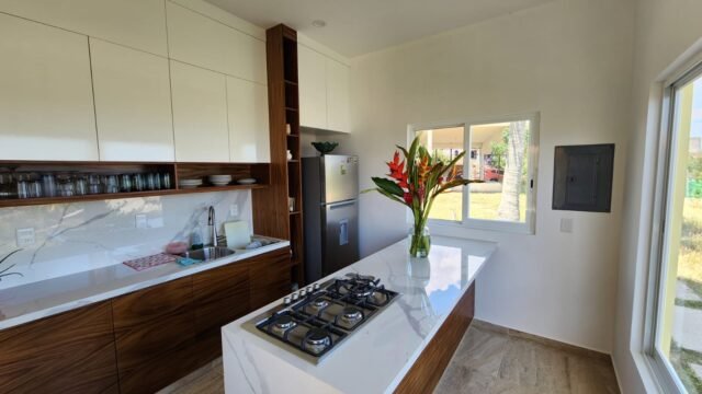 22285c81-ede2-4f81-b967-ccfc327cc8c7