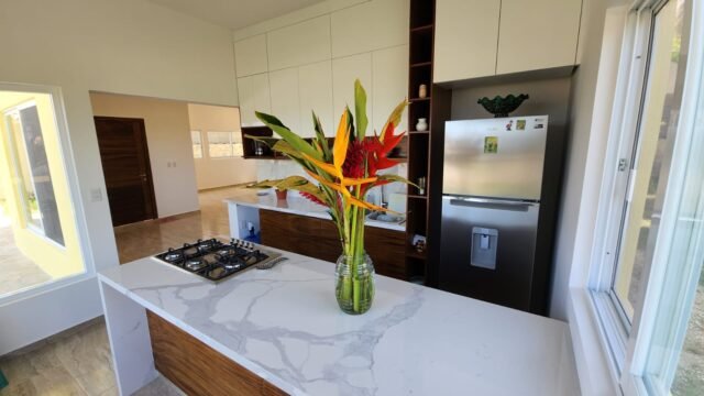 f384f2c1-643d-4e46-ba58-243fe413da6a